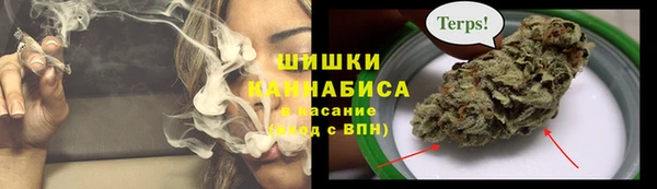 тгк Белокуриха