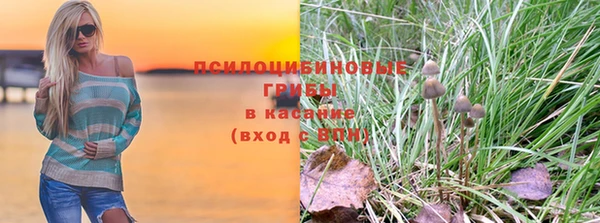 spice Белоозёрский