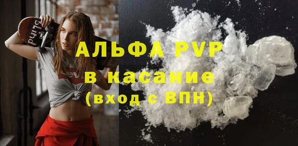 тгк Белокуриха