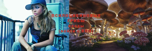 тгк Белокуриха